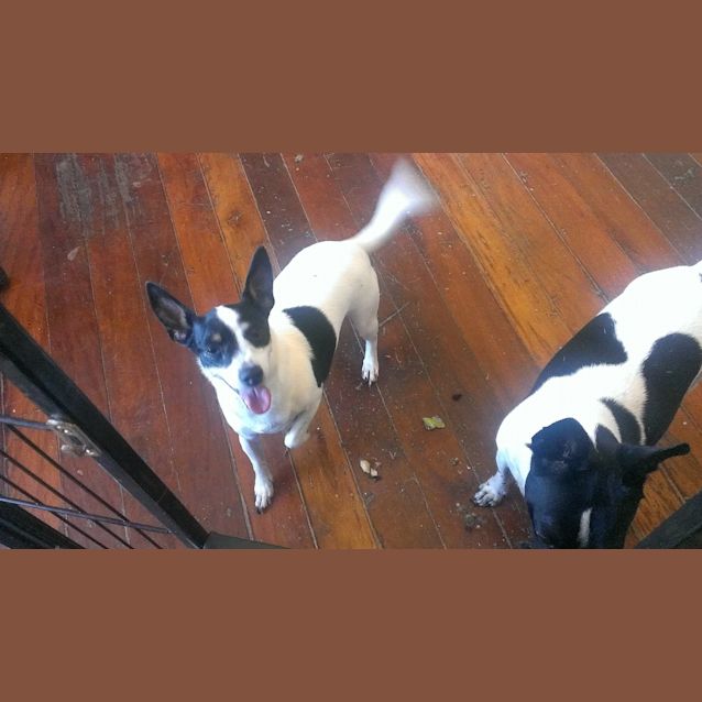 Photo of Lilly And Kojak