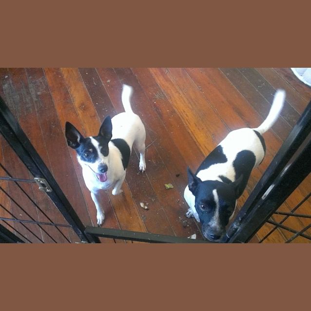 Photo of Lilly And Kojak
