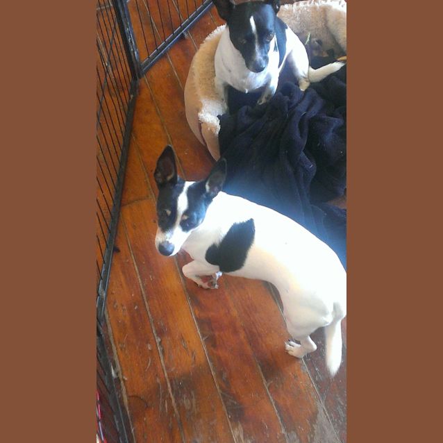 Photo of Lilly And Kojak