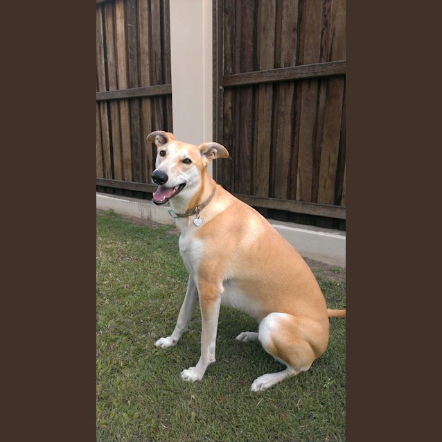Photo of Skippy