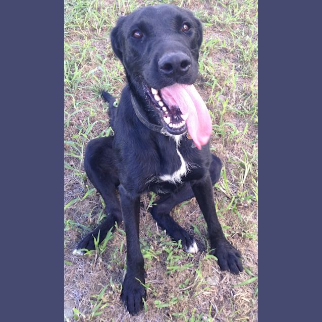 Photo of Rex
