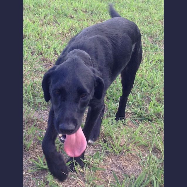 Photo of Rex