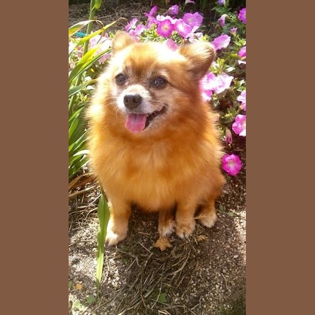 Photo of Tammy