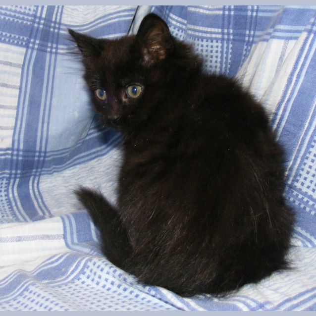 Photo of Tabor