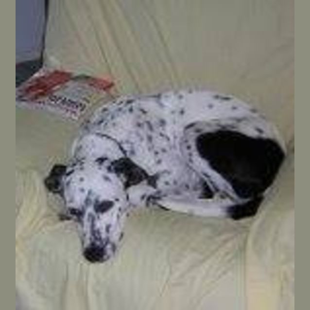 Photo of Tilly