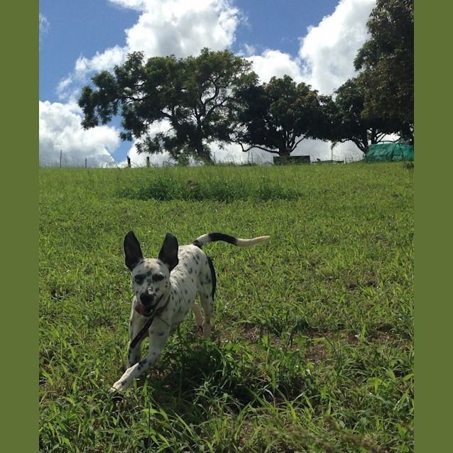 Photo of Tilly