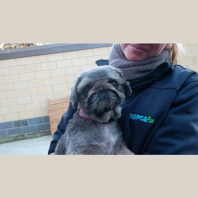 Photo of Tilly