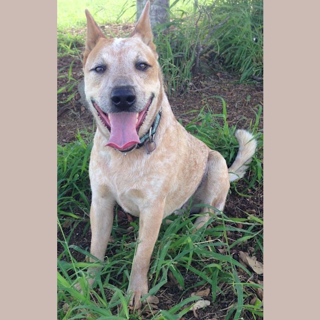 Photo of Zip