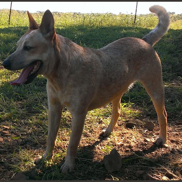 Photo of Zip