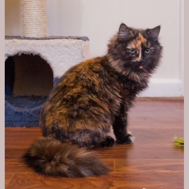 Photo of Leah