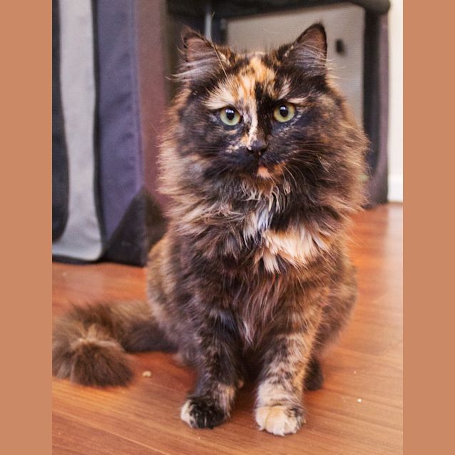 Photo of Leah
