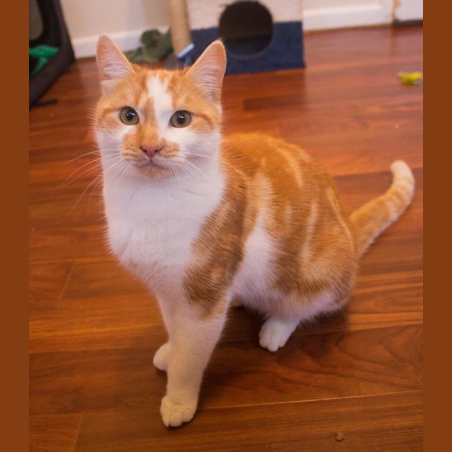 Photo of Wesley
