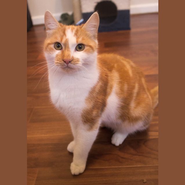 Photo of Wesley