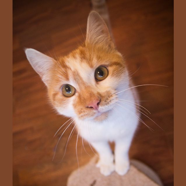 Photo of Wesley