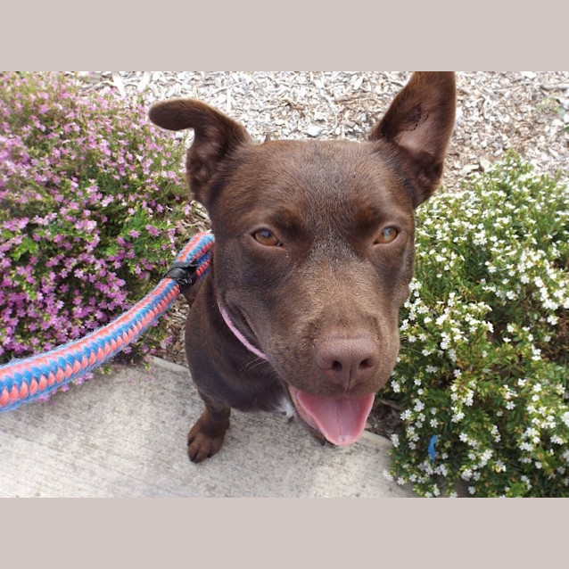 Photo of Spud