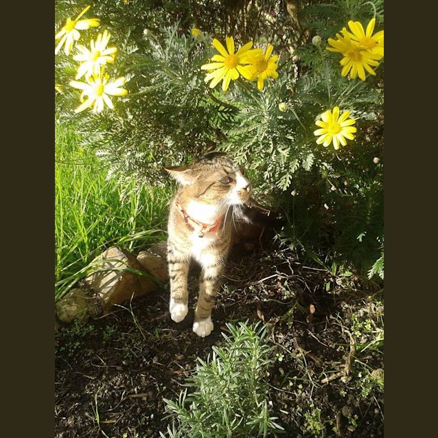 Photo of Loving Lionel