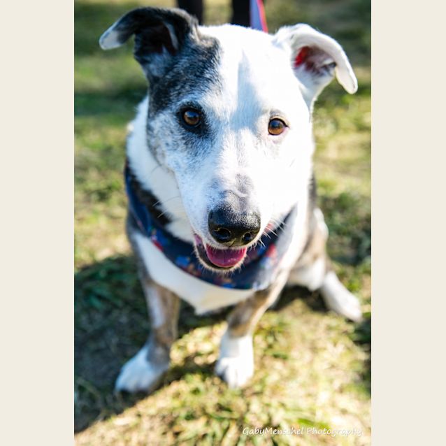 Photo of Buster