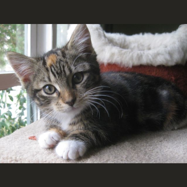 Photo of Beatrice