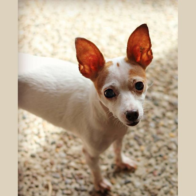 Photo of Mia