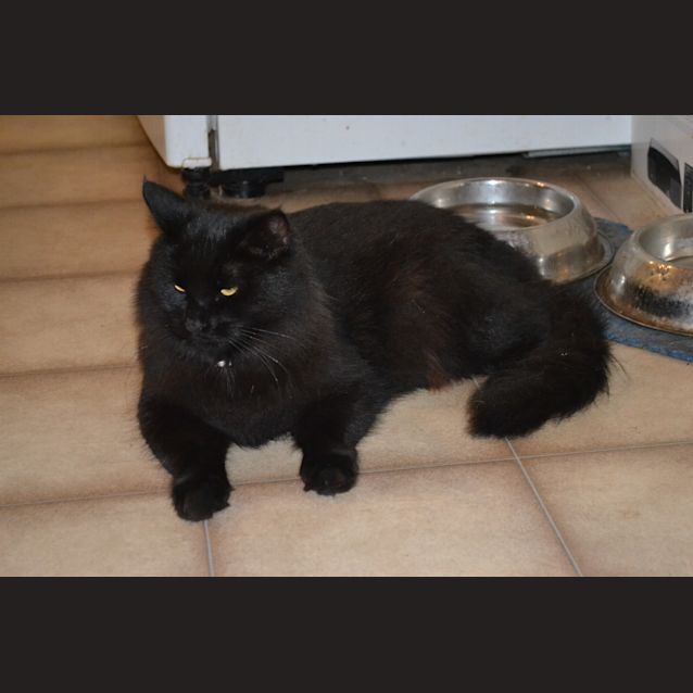 Photo of Thea