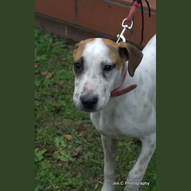 Photo of Ruby **A Sweet Sweet Princess**