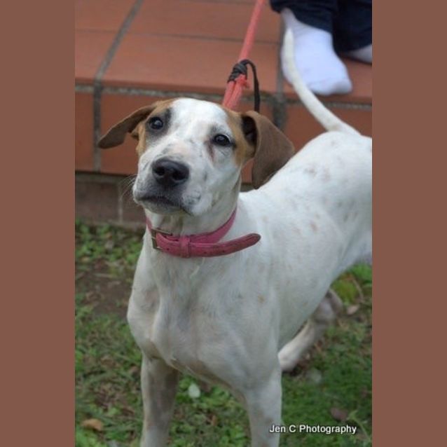 Photo of Ruby **A Sweet Sweet Princess**