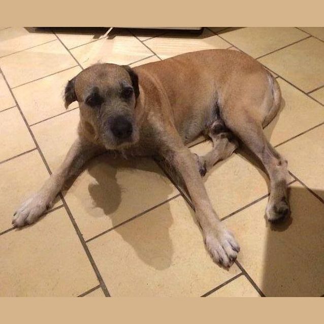 Photo of Zeus