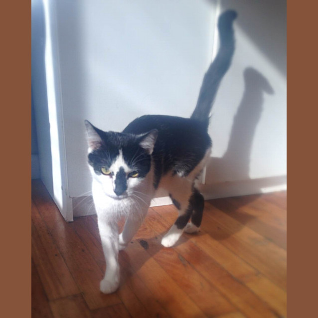 Photo of Lulu