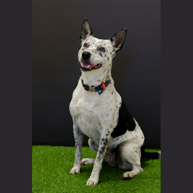 Photo of Storm