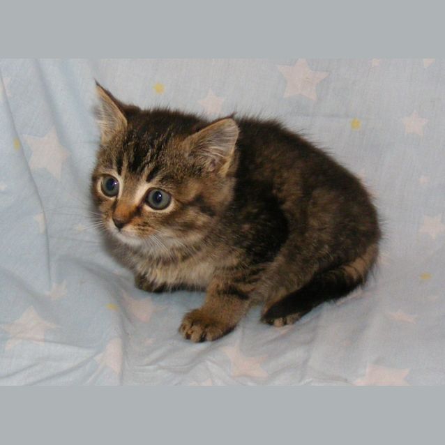 Photo of Effie