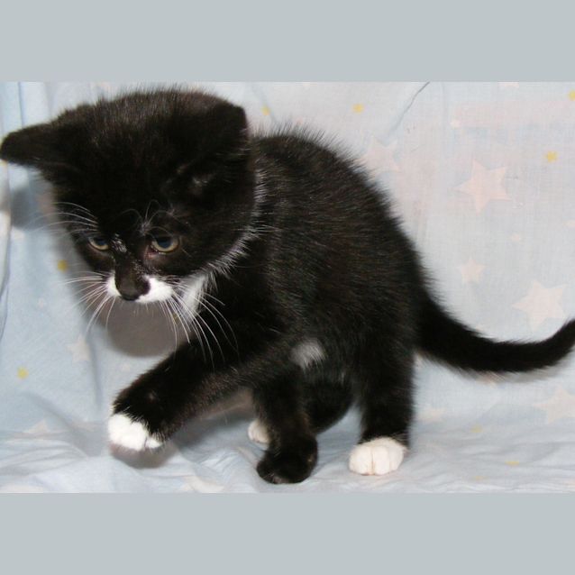 Photo of Esme