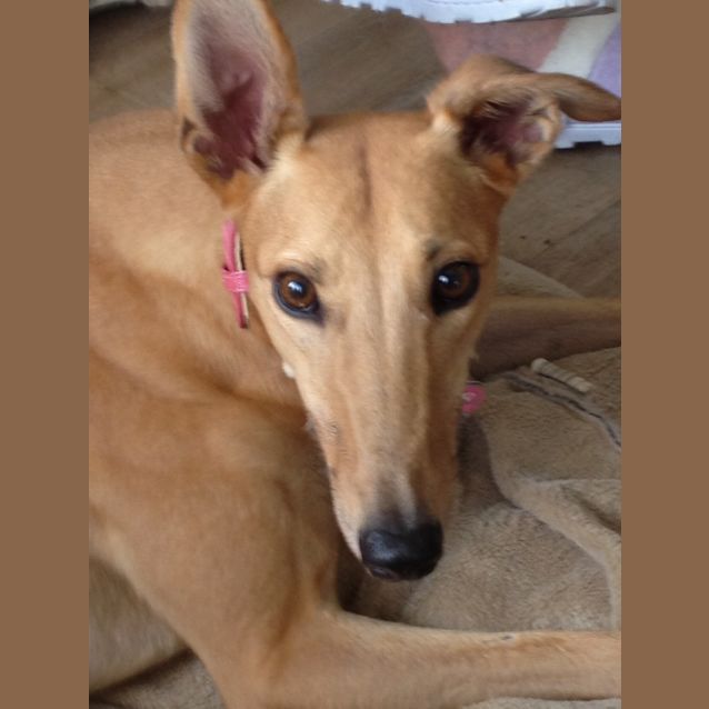 Photo of Bootilicious "Bubbles"