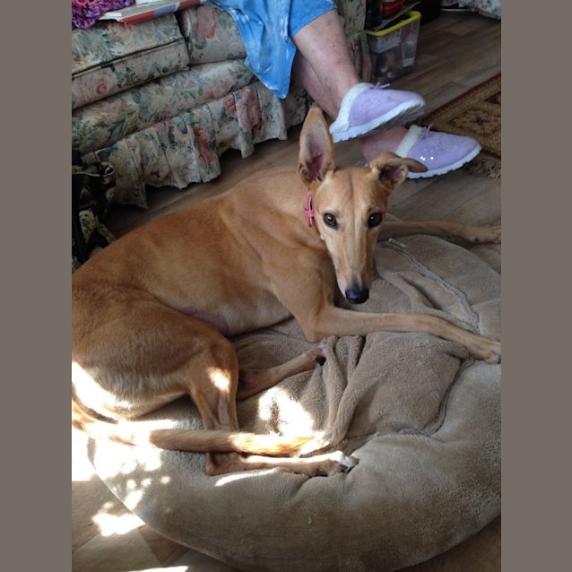 Photo of Bootilicious "Bubbles"