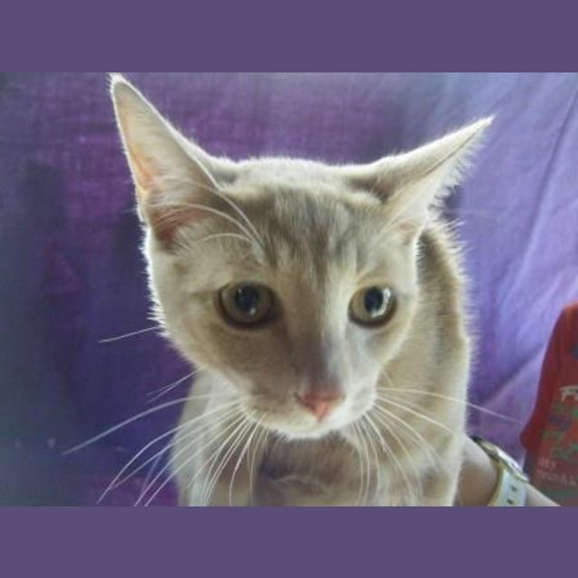 Photo of Louie