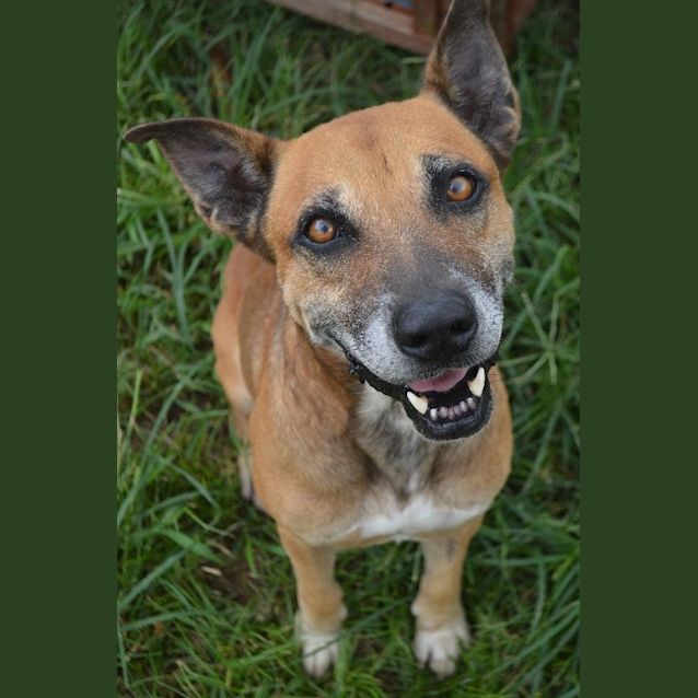 Photo of Max