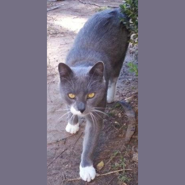 Photo of Odie & Tilly