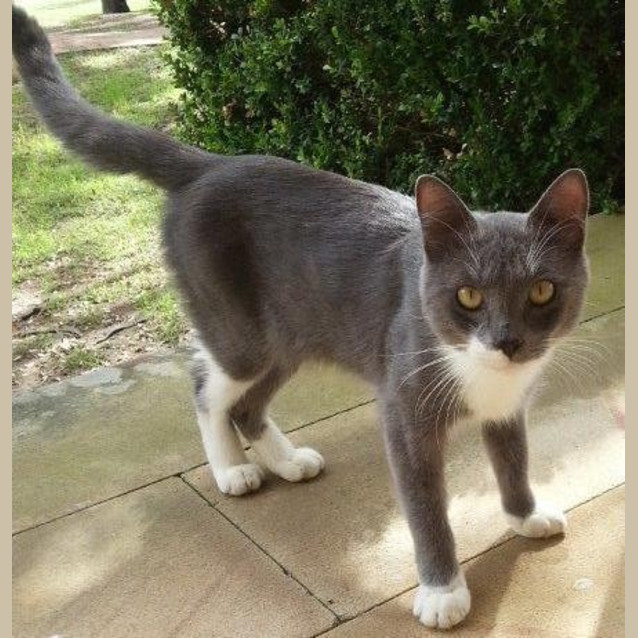 Photo of Odie & Tilly