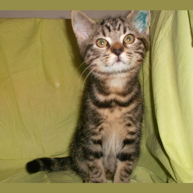 Photo of Noah