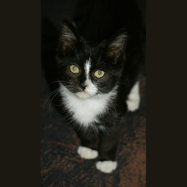 Photo of Tina