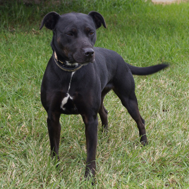 Photo of Meeka