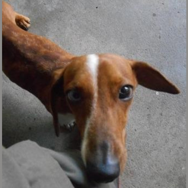 Photo of Sammy