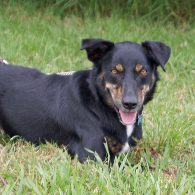 Photo of Hunter