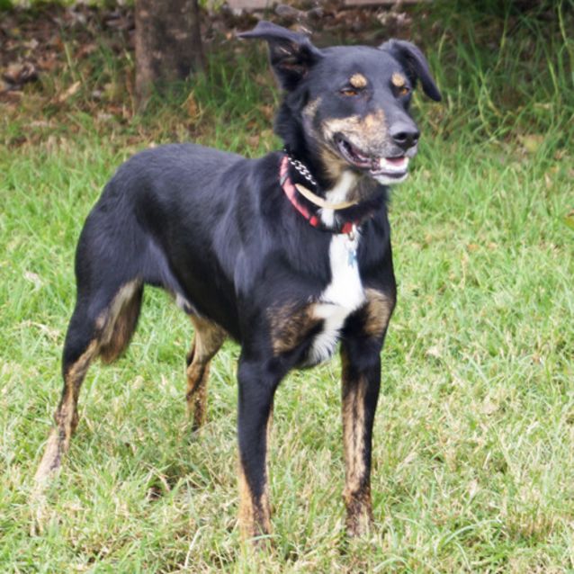 Photo of Hunter
