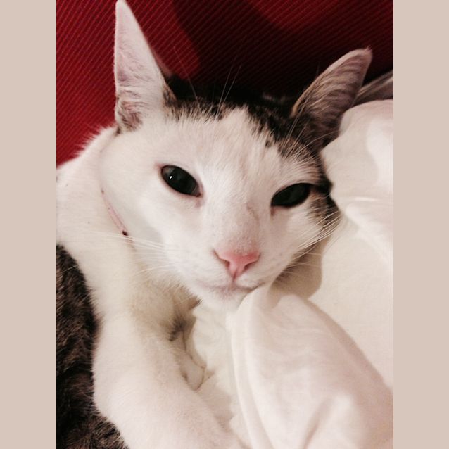 Photo of Fleur