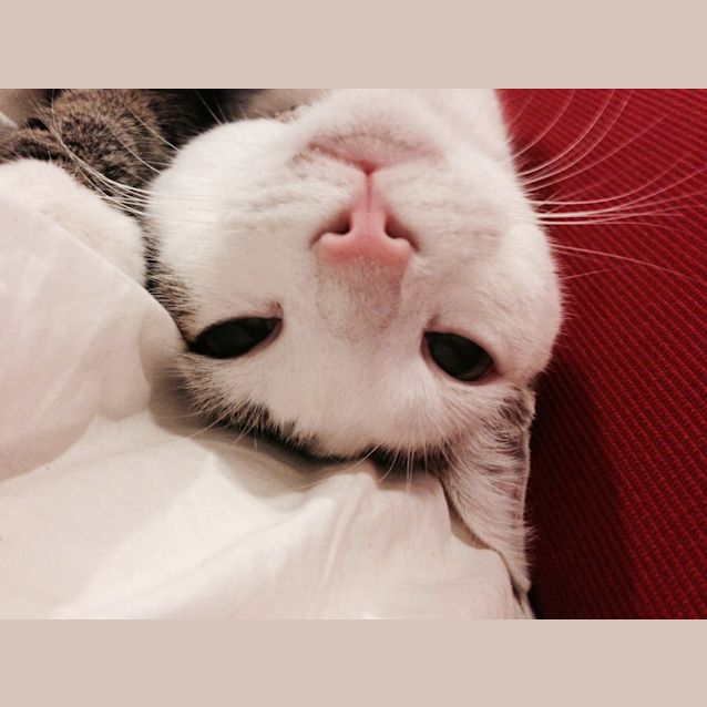 Photo of Fleur