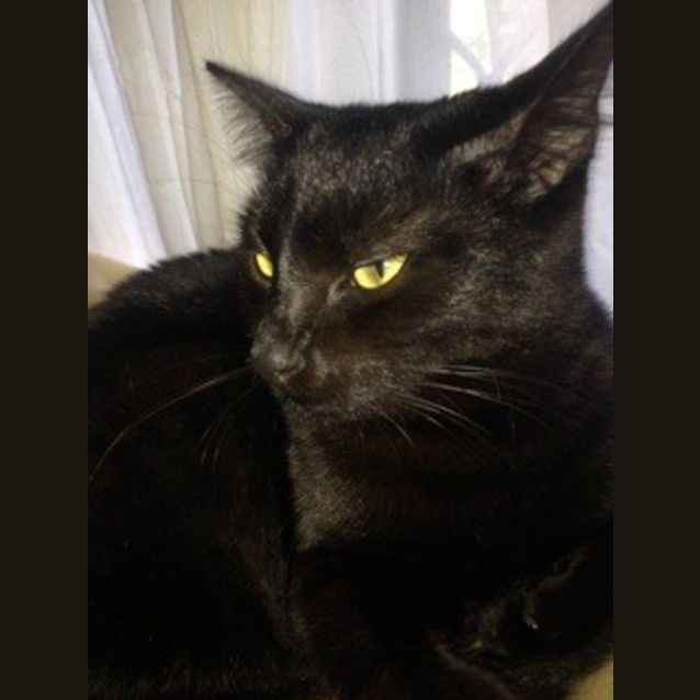Photo of Elizabeth