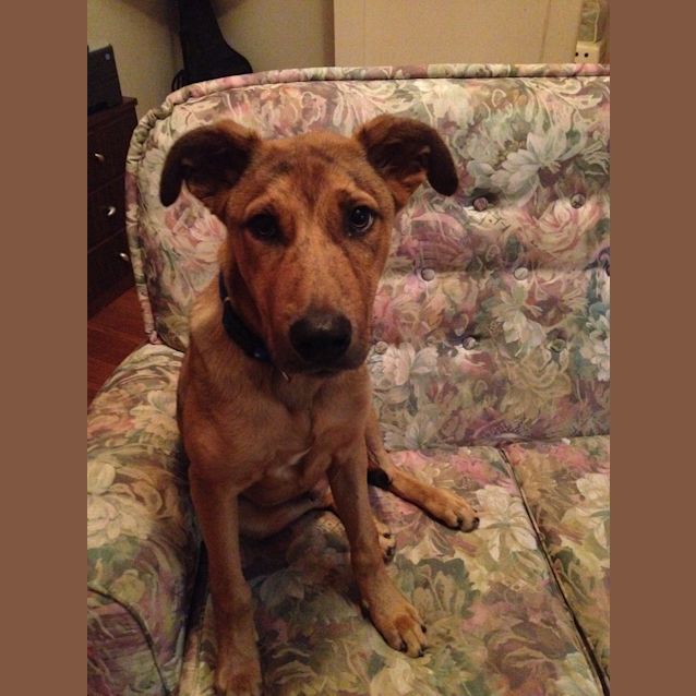 Photo of Little Bear