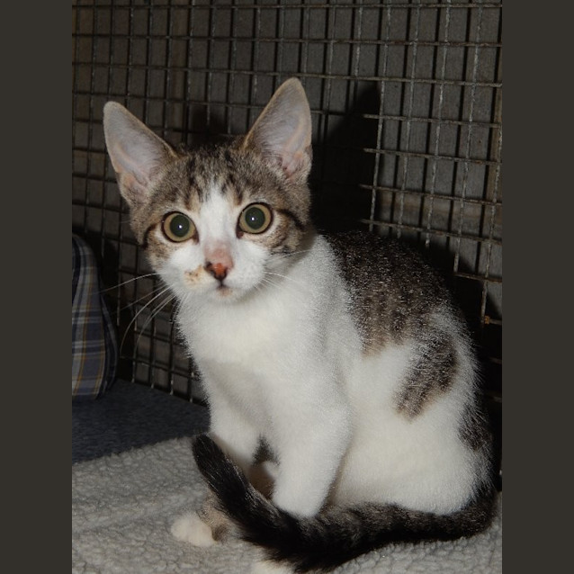 Photo of Trudi