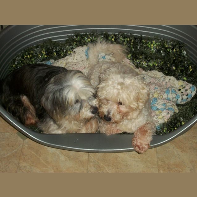 Photo of Brando And Asha (On Trial 14/9/14)