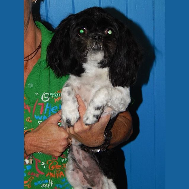 Photo of Izzy